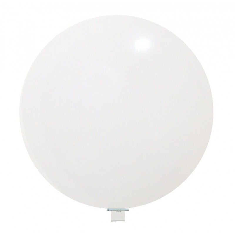 Bianco 16